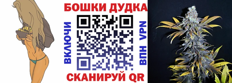 Купить закладки  Павловский Посад  Бошки Шишки семена 